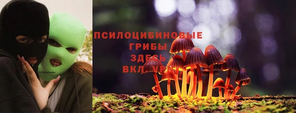 ALPHA PVP Горнозаводск