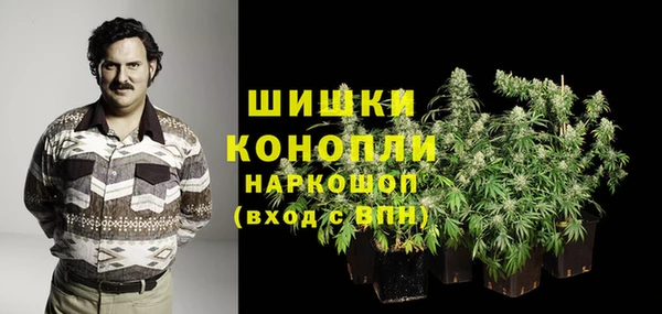 амф Гусь-Хрустальный