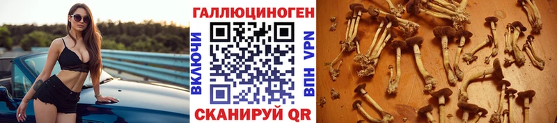 Купить закладки  Трёхгорный  Псилоцибиновые грибы Psilocybine cubensis 